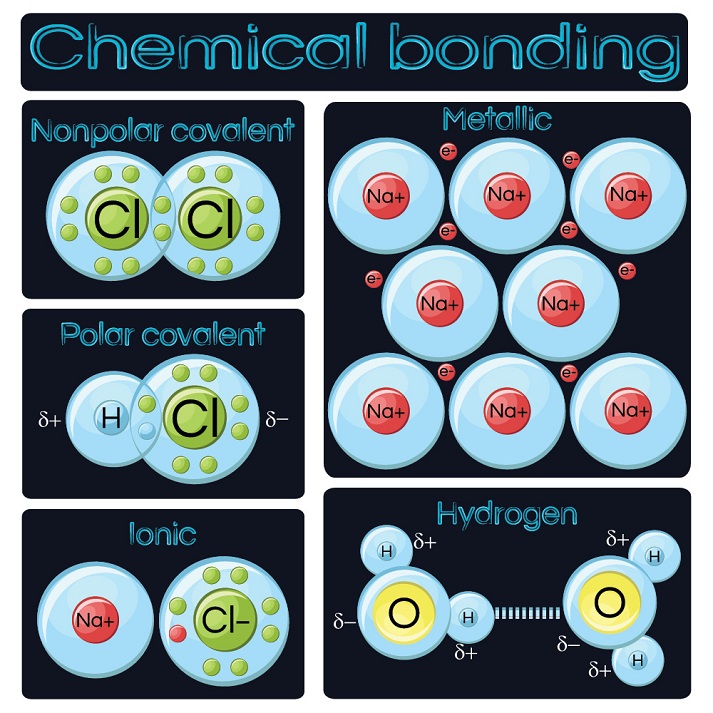 Chemical Bonds Flow Chart