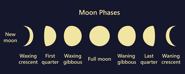 chart showing the phases of the moon from new to full including crescent quarter and gibbous