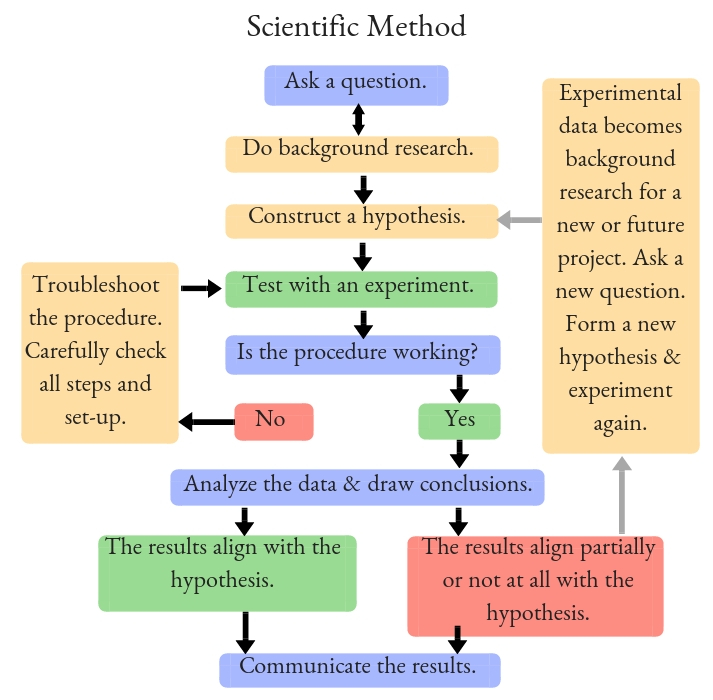 essay explaining scientific method