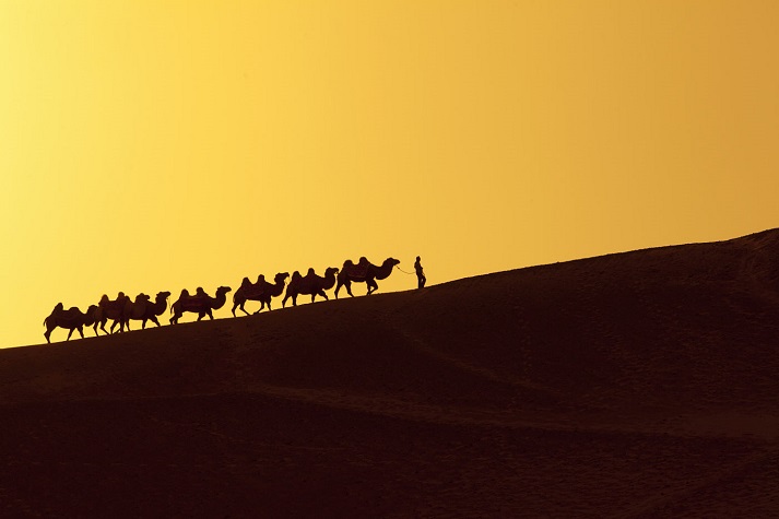 Lesson - Traveling the Silk Road Educational Resources K12 Learning