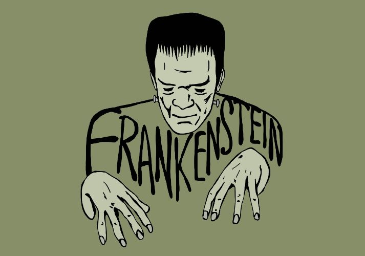 Lesson - <em>Frankenstein</em>: An Introduction Educational Resources K12 Learning