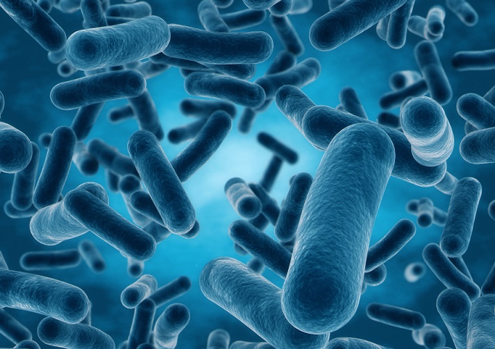 Lesson - What Are Bacteria? Educational Resources K12 Learning