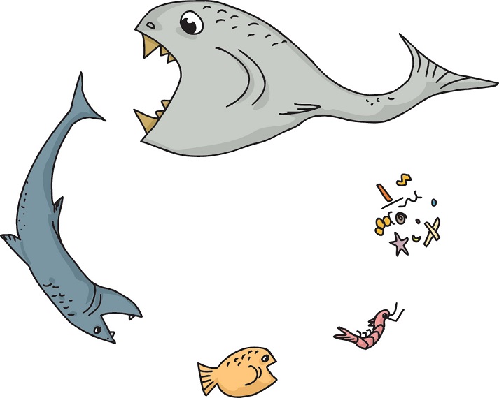 Lesson - Ocean Food Webs Educational Resources K12 Learning