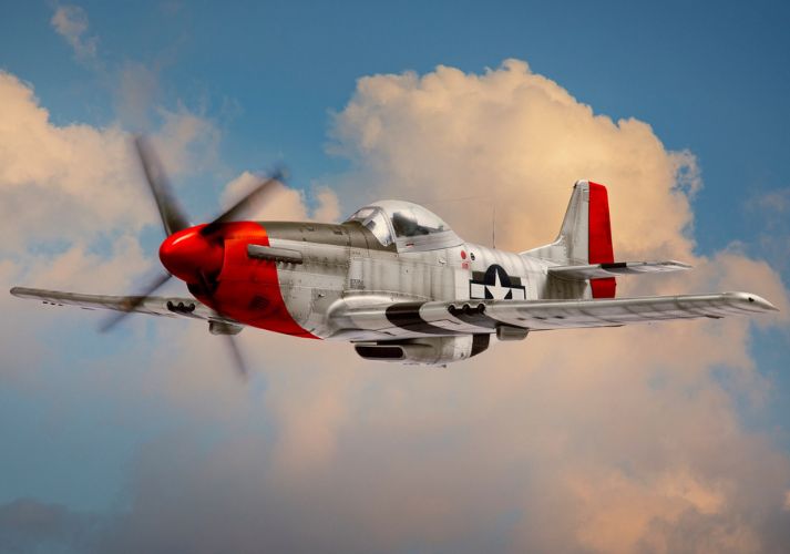 Red-Tailed Angels: How the Tuskegee Airmen Changed History Educational Resources K12 Learning