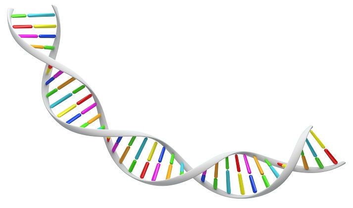Lesson - What Is DNA? Educational Resources K12 Learning