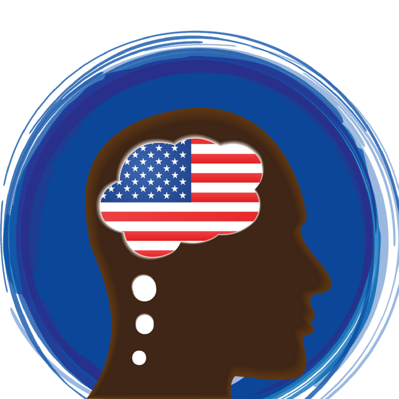 Badge - Foreign Policy Educational Resources K12 Learning