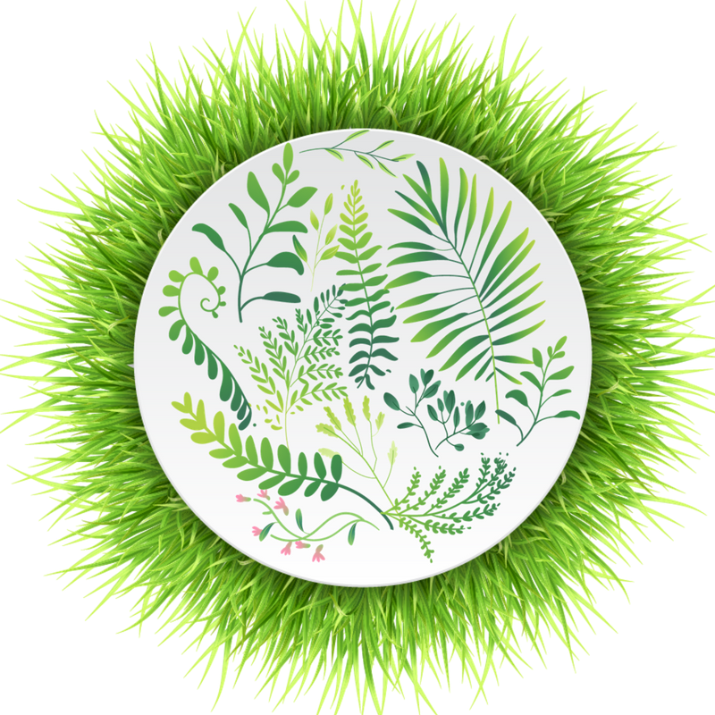 Badge - Tropical Rainforests: Plants Educational Resources K12 Learning